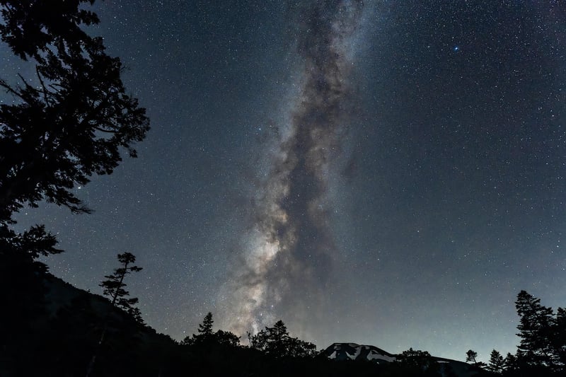 Time Loops Image